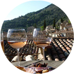 Medaillon vin de Provence